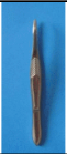 Stainless Steel Budget Forceps